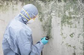 Best Real Estate Mold Inspection  in Sumner, IL